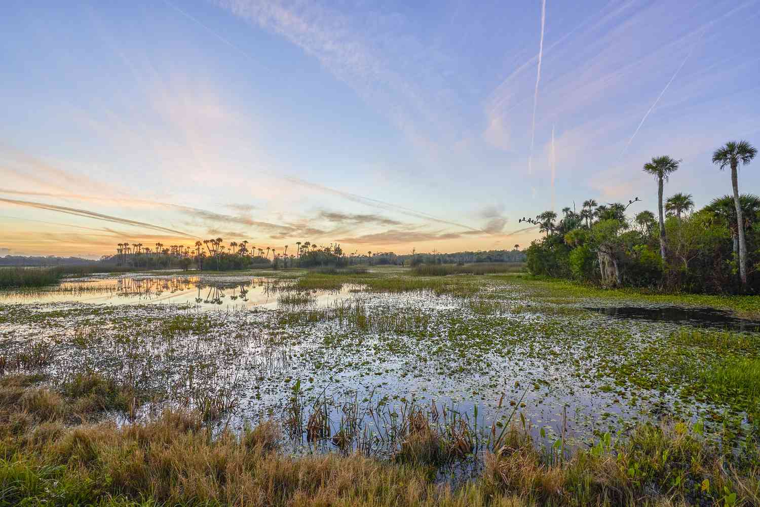 Christmas, Florida Home Inspections • Sun Inspections