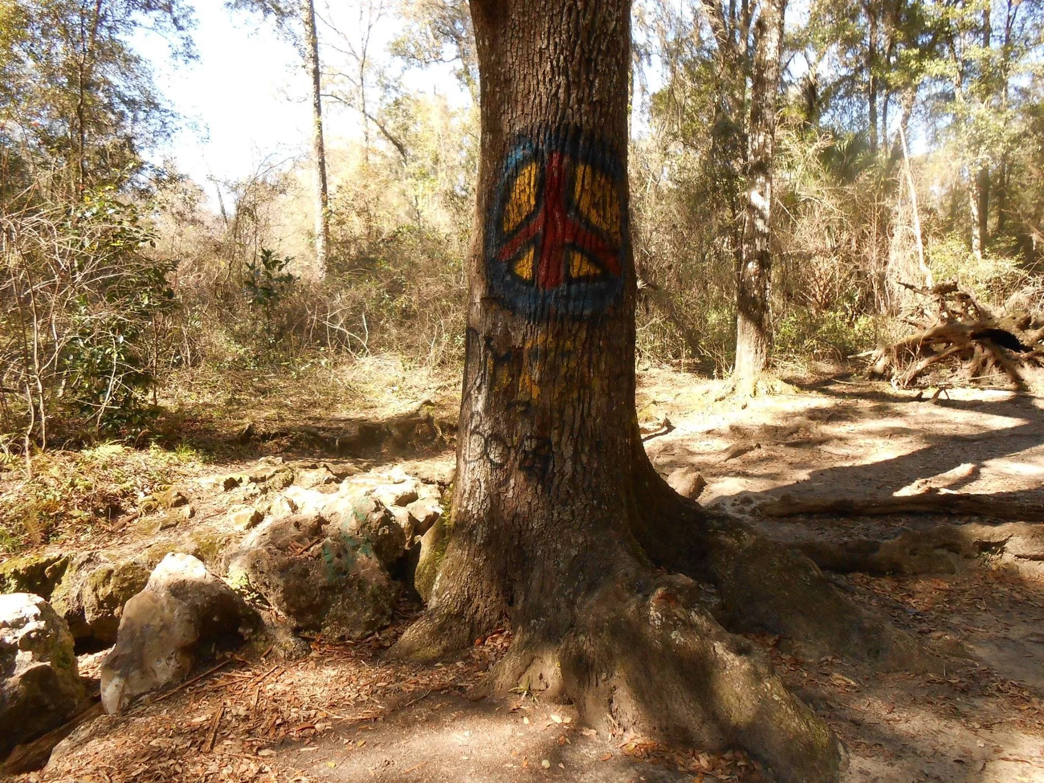 Lecanto, Florida Home Inspections • Sun Inspections