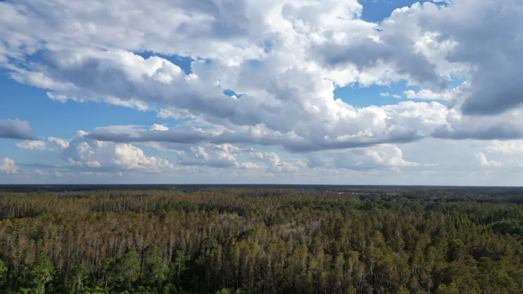 Aerial photo of Wesley Chapel, FL taken November 2, 2022